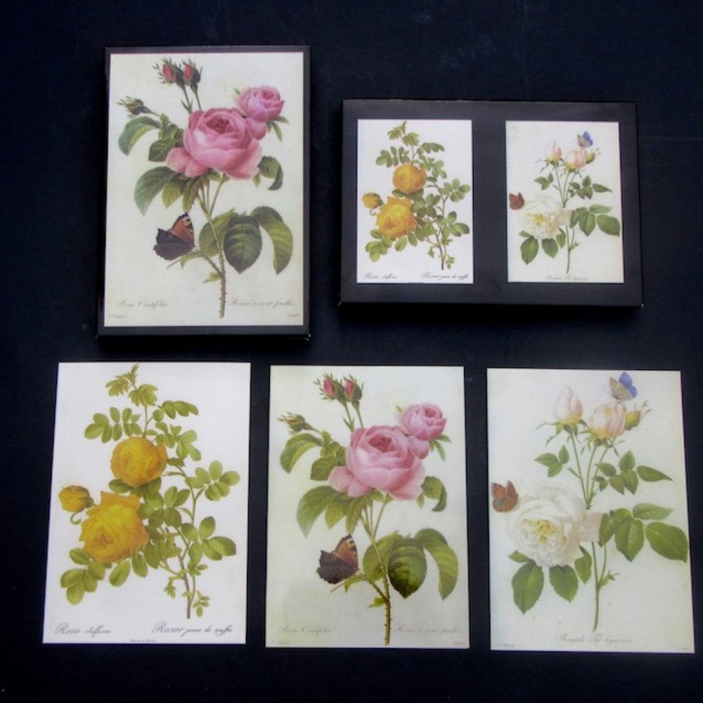 Redoute Note Cards  New, Large, Blank TG